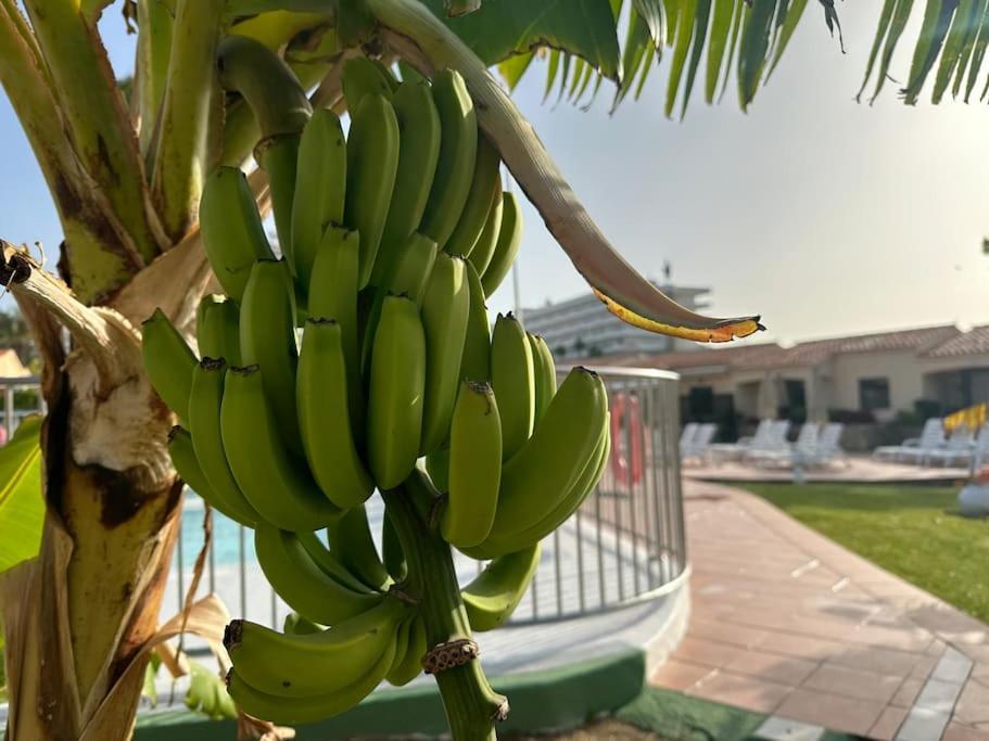 Bungalow Santa Fe ماسبالوماس المظهر الخارجي الصورة